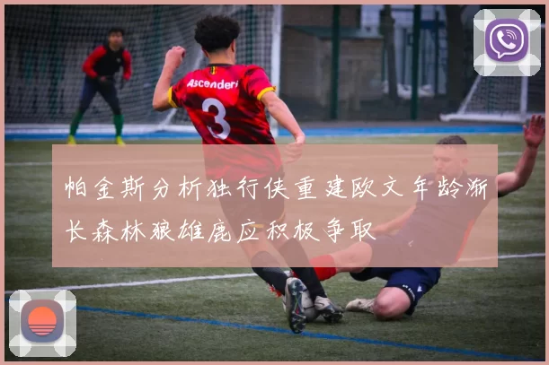 帕金斯分析独行侠重建欧文年龄渐长森林狼雄鹿应积极争取