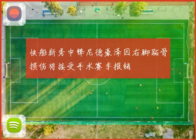 快船新秀中锋尼德豪泽因右脚跖骨损伤将接受手术赛季报销