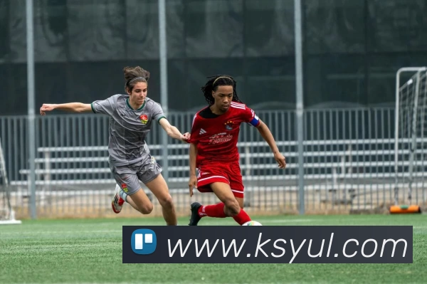 KS娱乐品牌故事